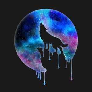 Meet your Posher, Trystin